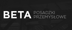Strona www BETA SYSTEM Sp. z. o o.